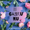 DJ Harv - Gabru Nu - Single (feat. Anantpal Billa) - Single